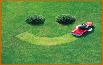 Lawngevity lawn care Inc.